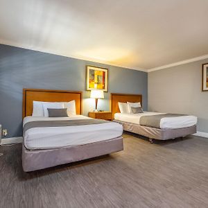 Queen Room Two Queen Beds